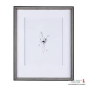 Anthurium I Anthurium I