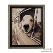 Where You Go Where You Go